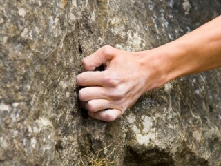  Clinging tightly to the rock